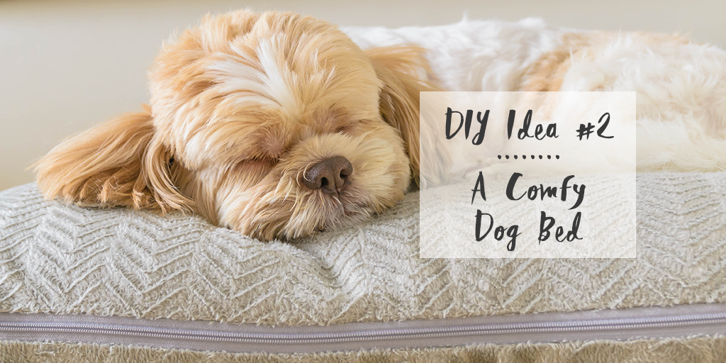 DIY dog bed