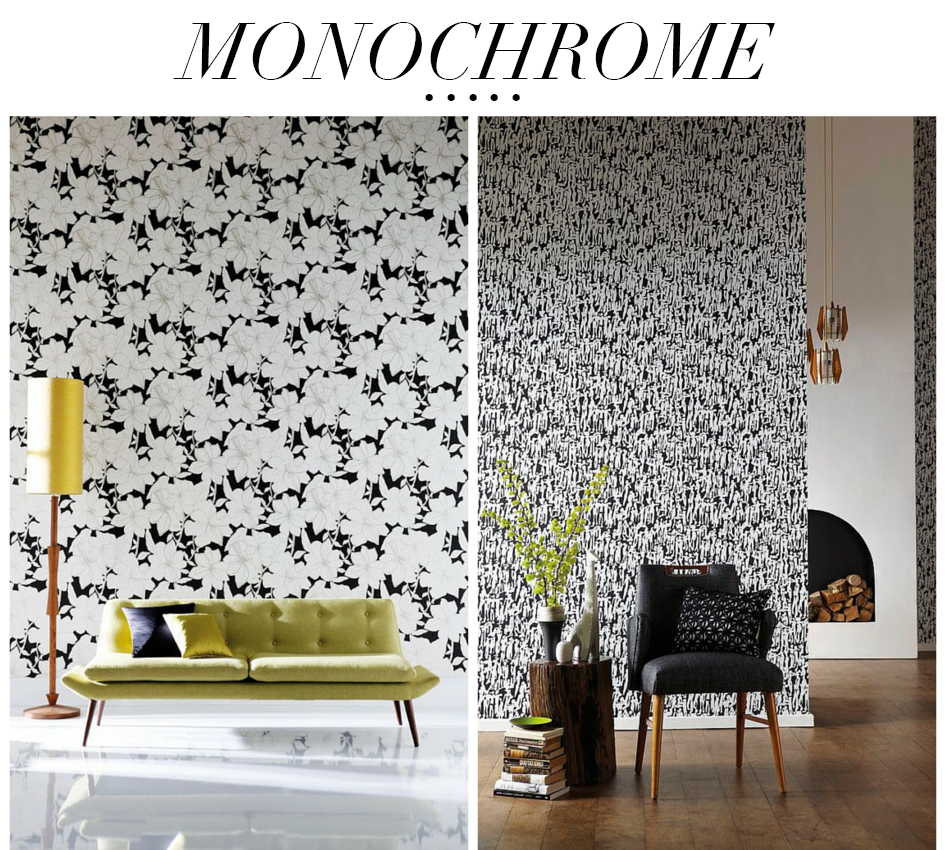 monocrome 1